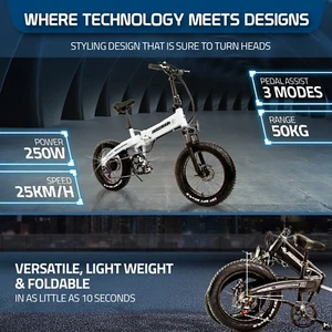 Beach Rider 20" ebike Foldable Mountain Electric Bicycle 250W LG Fat Tyre e-bike - Picture 1 of 14