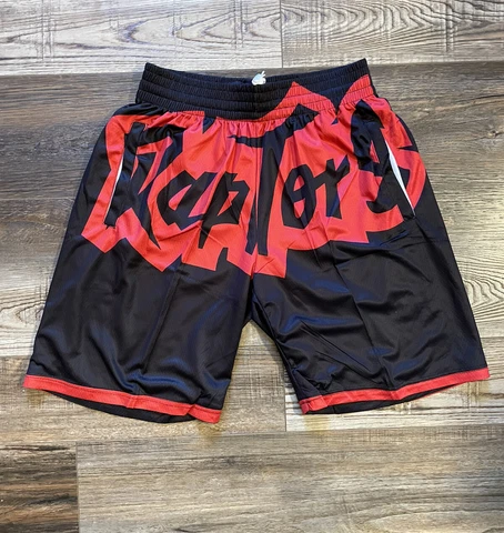 Toronto Raptors Summer Team Shorts Thin Breathable Basketball Shorts M-XL Cover