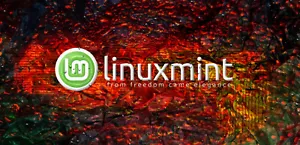 Laptop Dell 7490 Linux Como Nueva Cuatro Núcleos 32GB 1TB SSD +++ 5 AÑOS DE GARANTÍA - Imagen 1 de 9