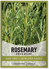 Rosemary Seeds For Planting - It Is A Great Heirloom, Non-Gmo Herb Variety- Grea