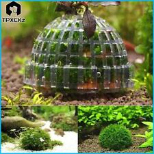 Natural Dried Moss Micro Landscape For Miniature Garden,Doll House Decor DIY