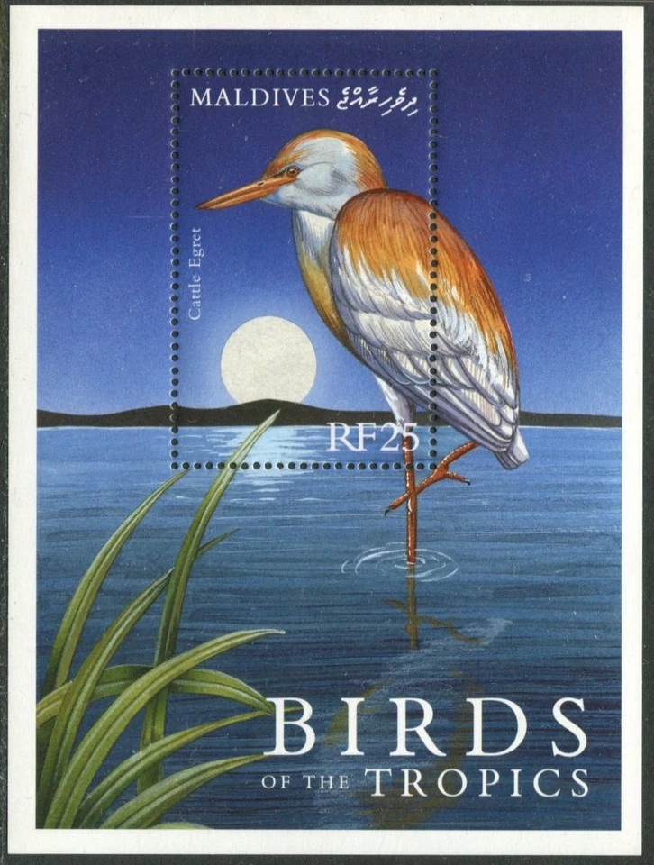 Folha Maldivas 2477, sem marca de charneira. 2000. Birds of the Tropics: garça de gado. - Imagem 1 de 1