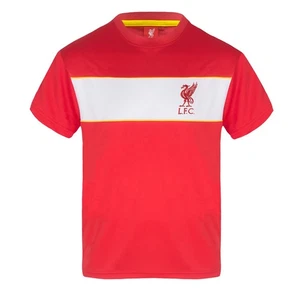 Liverpool FC Jungen T-Shirt Poly Kinder OFFIZIELLES Fußball Geschenk - Bild 1 von 22
