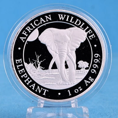 Somalia 100 scellini 2025 elefante africano della fauna selvatica 1 oncia 9999 argento oncia (2) - Immagine 1 di 2