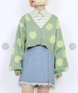 Punyus Melone kurze Strickjacke mit Kapuze Damen Größe 4 gebraucht - Bild 1 von 6