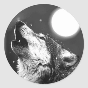 MOON WOLF NIGHT Pendant FREE 925 Sterling Silver Plated 20" necklace men women - Picture 1 of 9