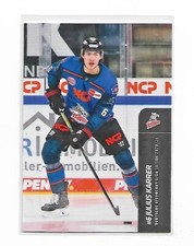 LED Playercard 20-21 Update - Julius Karrer - Nuremberg Ice Tigers #423