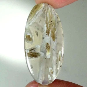 23.20Cts. 18X38X4mm. 100% Natural Rare Designer Turkey Agate Oval Cab Gemstone - Picture 1 of 5
