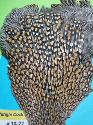 Capa Jungle Cock AAA 10-27 Foto 1 de 4