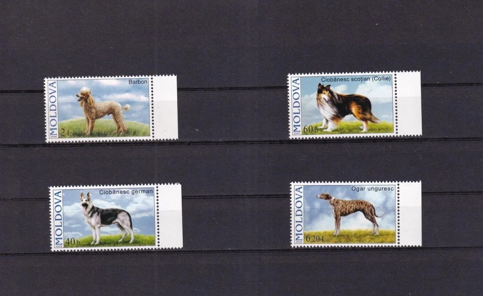 Sellos SA32d Moldavia 2006 perros como nuevos Foto 1 de 1