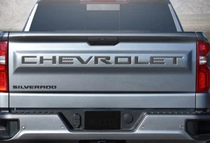 19432564 - 3-D Urethane CHEVROLET Tailgate Lettering in Carbon Fiber - Picture 1 of 1