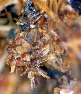 Baritolamprofilita, perovskita, etc., etc.:Üdersdorf,Renania Pal.Alemania-MM - Imagen 1 de 6