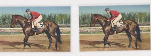 2 cartoline d'epoca Miami Florida FL Champion Horse Citation at Hialeah Race Course - Foto 1 di 2