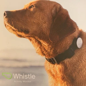 Whistle GPS Track Monitor For Dogs, Track Your Dogs Daily Activity/Rest Patterns - Picture 1 of 5