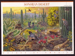 US #3293 Sonoran Desert 33 Cents Complete Sheet of 10 Mint Never Hinged - Picture 1 of 1