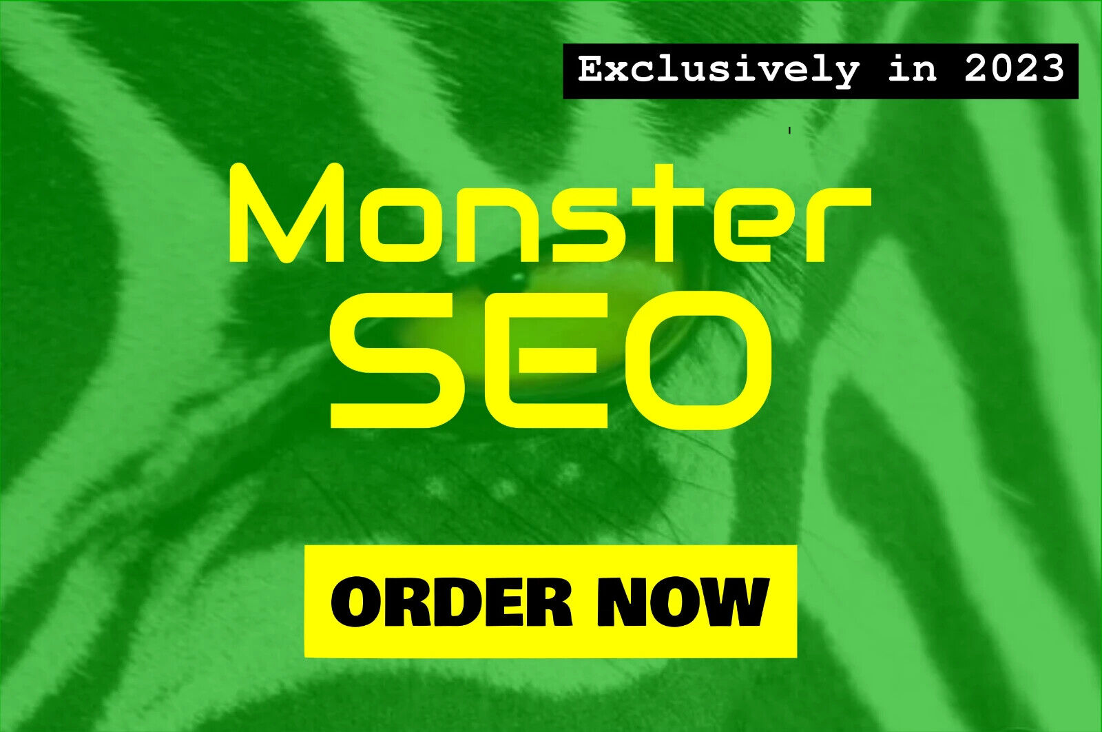 MONSTER SEO service of high trust flow Homepage Backlinks - Gold  Package