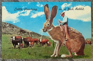 Cartolina umoristica d'epoca 1962 "Bovini che pugnalano un Jack Rabbit" - non spedita - Foto 1 di 2