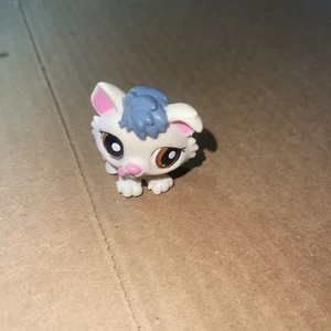 Littlest Pet Shop LPS Authentic #2439 Baby Husky White & Grey Dog Blind Bag Pet - Picture 1 of 4