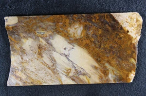 Petrified Wood Slab - Oregon -  6.5 Ozs - Lapidary - Crafts - Display - Picture 1 of 17