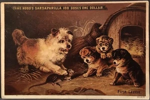 Hood’s Sarsaparilla First Lesson Mama Dog Shows Puppies How To Catch~Kill Mouse - Picture 1 of 2