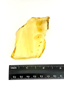 Natural Butterscotch Baltic Amber Specimen - 39.03g - Foto 1 di 2