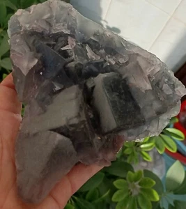 898 g Nuevo Encuentro Cubo Verde Cristal Fluorita Espécimen Mineral/China 1 - Imagen 1 de 7