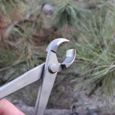 盆景刀凹边刀具根切割钳球剪剪剪刀 — 第 1/4 张图片