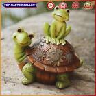 Niedliche Frosch-Schildkröten-Yard-Ornamente, Cartoon, kreativ für den Außenbere