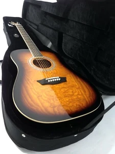 Haze Ultra-Lightweight Acoustic Guitar Hard Foam Case w/Shoulder Strap HPAA19A0 - Bild 1 von 12