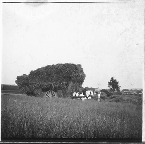 CHAMBLY c. 1900 - Attelage Moisson Oise - Stéréo Verre Positif - D 15 - Picture 1 of 2