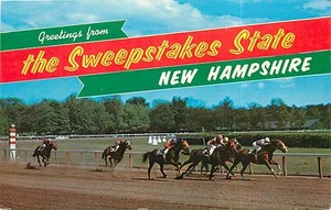 Tarjeta postal de carreras de caballos Saludos desde el Sorteo Estado New Hampshire NH - Imagen 1 de 2