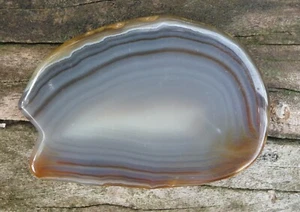 Tranche d'agate rubanée naturelle de Madagascar - 10 cm - Bild 1 von 2