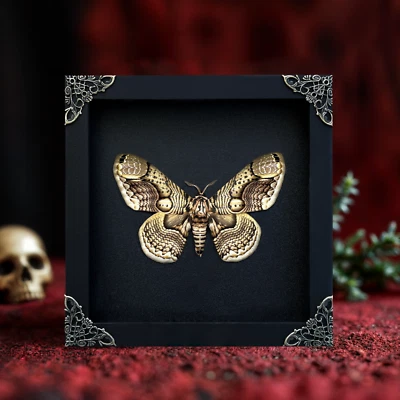 Gothic Wall Art Preserved Moth Display Framed insect specimen Gift for Mom - Image 1 of 2