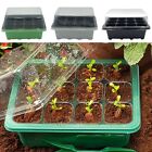 PET Material Nursery Tray Stackable and Safe Design Wholesome Plant Growth