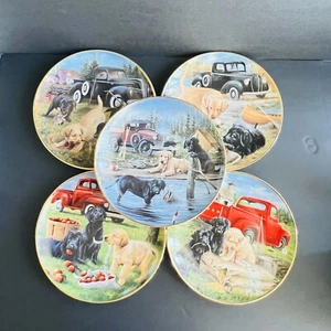 Franklin Como Nuevo Royal Doulton Juego de 5 Platos de Coleccionista para Perros - Imagen 1 de 20