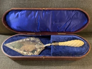 Antique Victorian 13" Silverplate and Celluloid Server w/ Velvet & Leather Case - Picture 1 of 7