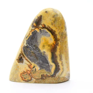Bumblebee Jasper Freeform - Bild 1 von 5
