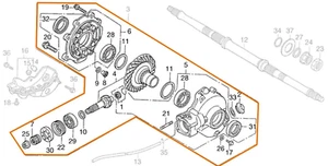 DIFFERENZIALE POSTERIORE HONDA 1988 - 2000 TRX300 A FW AN FOURTRAX 2X4 4X4 41300-HM5-A1 - Foto 1 di 3