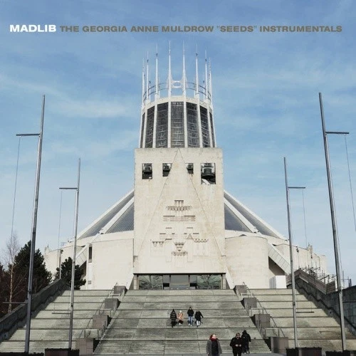MADLIB/GEORGIA ANNE MULDROW Seeds Instrumentals/The Declaime Instrumentals LP N Foto 1 de 1