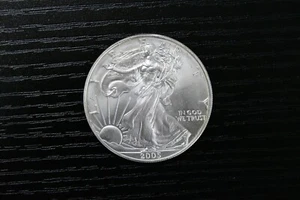 2005 $1 Dollar Silver American Eagle Walking Liberty - Picture 1 of 2