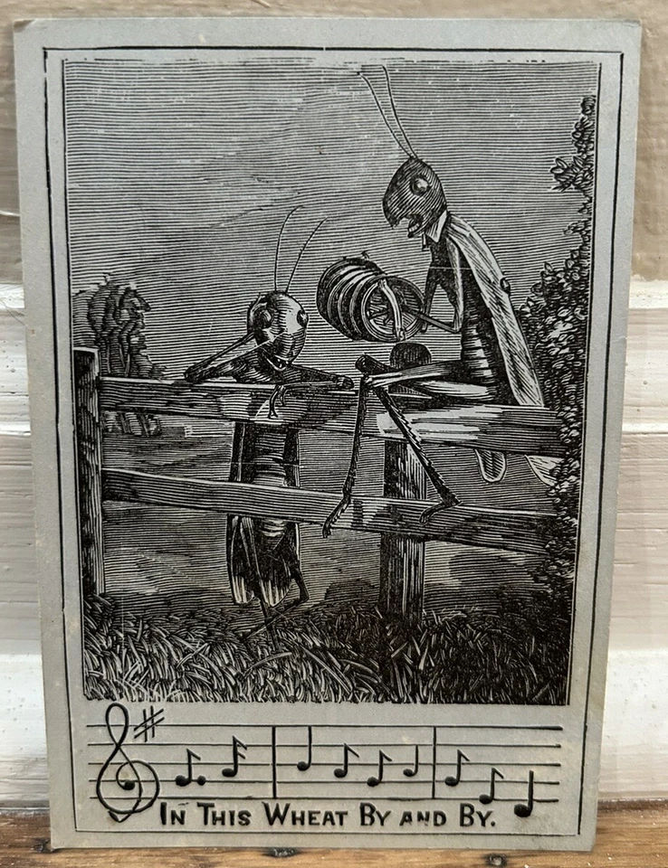 Antigua tarjeta victoriana antropomórfica saltamontes música en este trigo! Foto 1 de 1