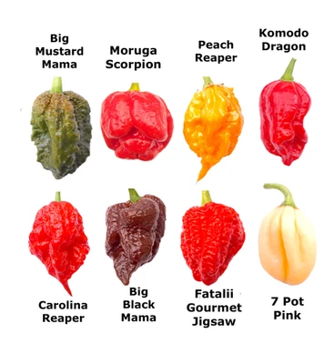 Worlds HOTTEST Chilli - 40 Seeds - 8 Varieties inc Carolina Reaper + FREE Seeds - Image 1 of 2