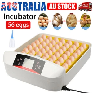 56 Eggs Digital Egg Incubator LED Fully Automatic Turning Chicken Duck Poultry - Picture 1 of 13