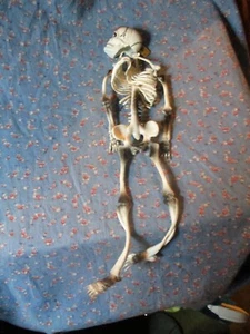 d. (1097) Vintage NOS Russ Berrie Rubber Skeleton Dangly 13" High Halloween - Picture 1 of 5
