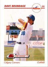 1991 Line Drive AAA Dave Brundage #53 Calgary Cannons