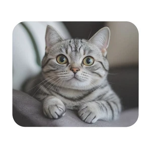 American Shorthair Cat Mouse Pad - Rectangle, Desk Decor, Office Accessories - Afbeelding 1 van 5