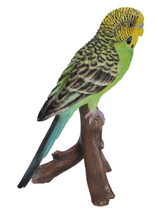 Vivid Arts Budgie Budgerigar grün - Bild 1 von 3