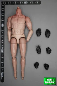 1:6 Scale Buzztoys BZT-001 The White Wolf - Body w/ Hands (NO HEAD & FEET) - Picture 1 of 2