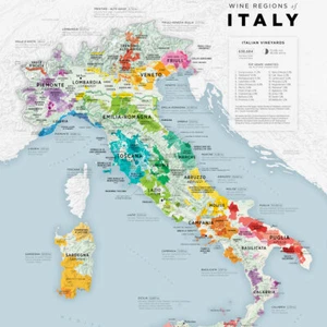 "De Long's VINO.ONE Serie Weinkarte von Italien 16"" x 20"" - Bild 1 von 4