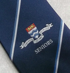 Vintage GOLF Tie Mens Necktie Retro Sport GOLFING CLUB LYME REGIS SENIORS - Picture 1 of 4